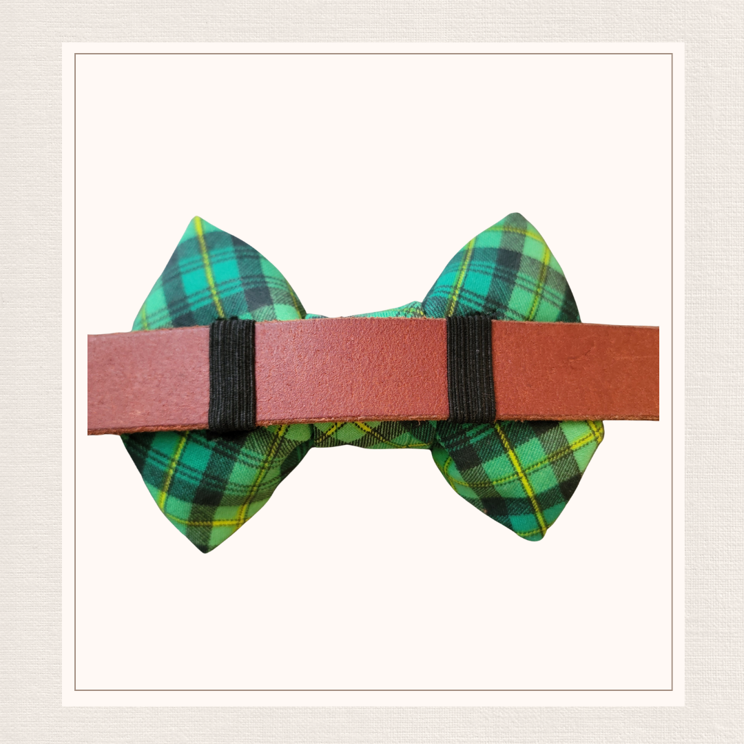 Green Spring Bowtie